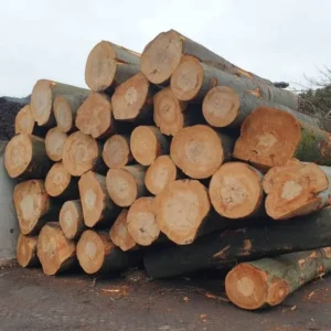 Hartholzmix - Stammholz - LKW-Ladung (20 - 80 RM)